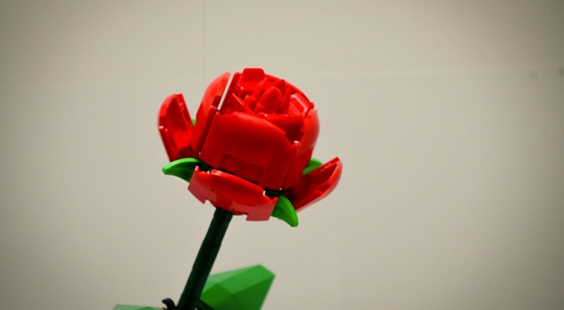 Alla hjärtans dag-trender: Lego-rosor, parfym och smycken tronar
